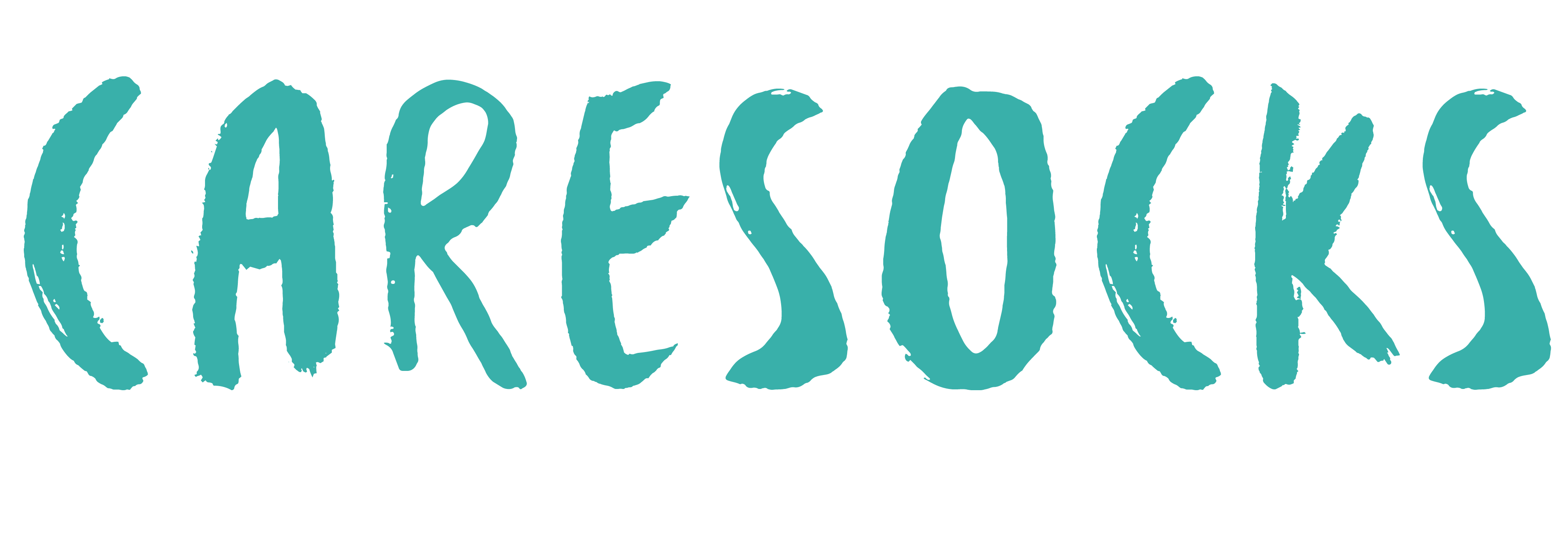 caresocks_logo